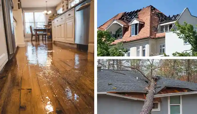 WDR PRO’s - Water Damage Restoration Service